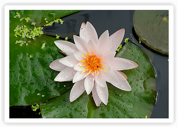 Beginners Meditation